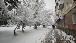 Жителей Ставрополья предупредили о заморозках в ближайшие дни