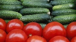 Ставропольчане смогут купить местную продукцию на трёх ярмарках в выходные 