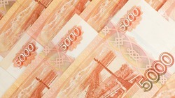 Более 15 млн рублей утаил директор предприятия на Ставрополье, чтобы не оплачивать налоговую недоимку
