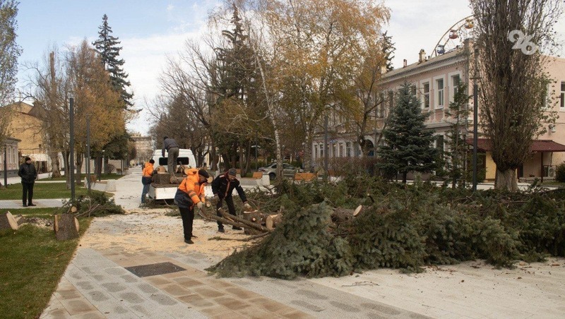 Жители Ставрополя подали 61 заявку на устранение последствий ураганного ветра
