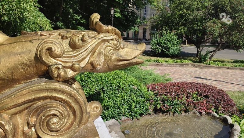 Мэрия не нашла подрядчика для ремонта фонтана «Дельфины» в центре Ставрополя