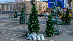 Жителям Ставрополья рассказали, как правильно избавиться от новогодней ёлки