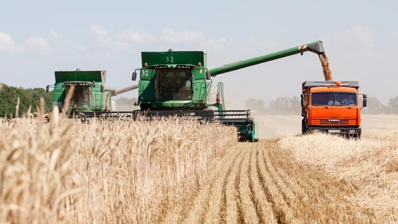 Почти 115 тысяч тонн зерна собрали аграрии Нефтекумского округа