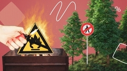 Не жечь траву и костры: как ставропольцам вести себя во время особого противопожарного режима  