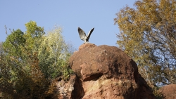 Две сестры из Кисловодска заняли призовые места в международных творческих конкурсах