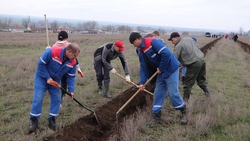 В Новоселицком округе прошла акция «Сад памяти»