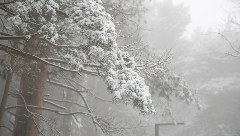 Непогода оставила без света и газа часть жителей Новоалександровского округа