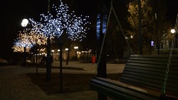 «Звёздное небо» и светящиеся деревья украсили центр ставропольского села