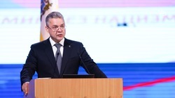 Губернатор Владимиров: Экономика Ставрополья может продолжить рост в 2023 году