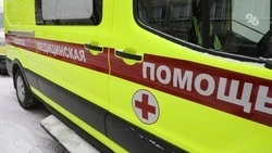 Четверых братьев госпитализировали после драки с кастетами и битами в Дагестане