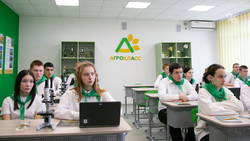 Свыше 60 агроклассов планируют открыть в школах Ставрополья в 2025 году