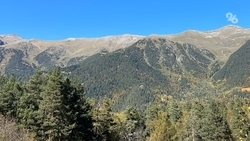 63 человека находятся в пунктах временного размещения после схода селя в КБР 