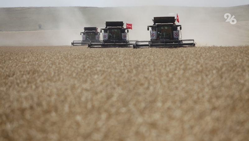 Губернатор Ставрополья поручил обеспечить безопасность во время жатвы