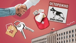 Агрессивные собаки, реабилитация военных и проблемы дольщиков: о чём говорили на заседании правительства Ставрополья 