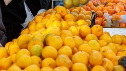 Переедание мандаринов может привести к проблемам с ЖКТ — доцент кафедры диетологии