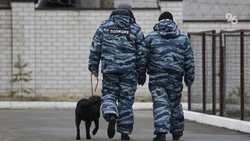 Школы Кисловодска проверили после сообщений о нападении