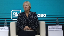 Свыше 100 млрд на развитие СКФО планирует направить госкорпорация ВЭБ.РФ 