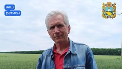Ставрополец получил награду «Заслуженный работник сельского хозяйства России»