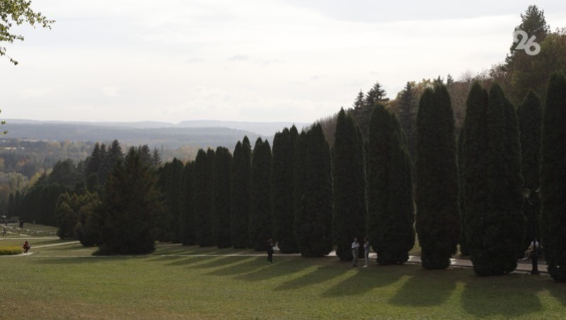Около 500 авторских кормушек украсят деревья Кисловодска