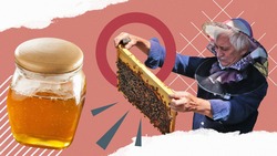 Жужжащее племя: как ставропольские пчеловоды проводят финал лета и встречают Медовый Спас