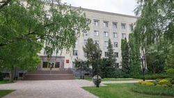 В выборах на Ставрополье примут участие 11 кандидатов