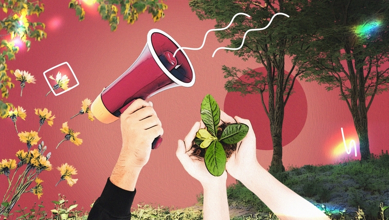 Жгут костры и коз пасут: удастся ли энтузиастам спасти памятник природы в Михайловске