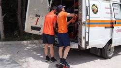 Спасатели сняли змею с дерева во дворе частного дома в Ставрополе
