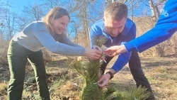 Почтили героев прошлого и настоящего: в Железноводске высадили «Сад памяти»