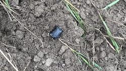 Двух студентов колледжа ставропольские правоохранители подозревают в сбыте наркотиков