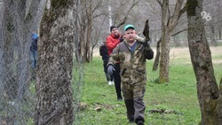 Сезон благоустройства и озеленения территорий стартовал на Ставрополье