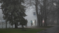 Автоинспекторы предупреждают о тумане в Александровском округе