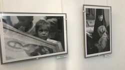 Выставка работ фотографов Южного регионального отделения Союза фотохудожников России открылась в Ставрополе