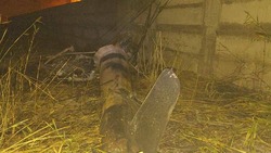 Упавший в Предгорном округе вертолёт использовался для сельхозработ
