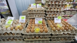 Президент Путин объяснил, как связана нехватка вакцин от кори с подорожанием яиц