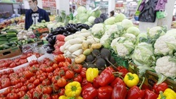 Выпуск продовольствия вырос на 14% на Ставрополье 