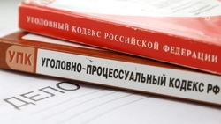 Ставрополец предстанет перед судом за фиктивную картофельную ферму