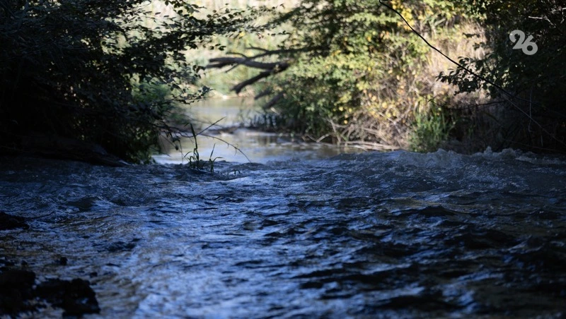 Уровень воды Калауса, подтопившего сёла на Ставрополье, упал на 28 см за сутки