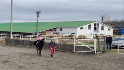 Губернатор Владимиров: Конная школа в Железноводске поможет в реабилитации детей