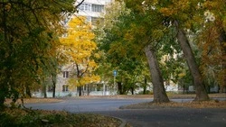 Примерно треть россиян осенью чаще чувствуют усталость и желание замедлиться