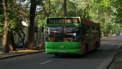 На пяти маршрутах в Ставрополе зафиксировали цену на проезд 