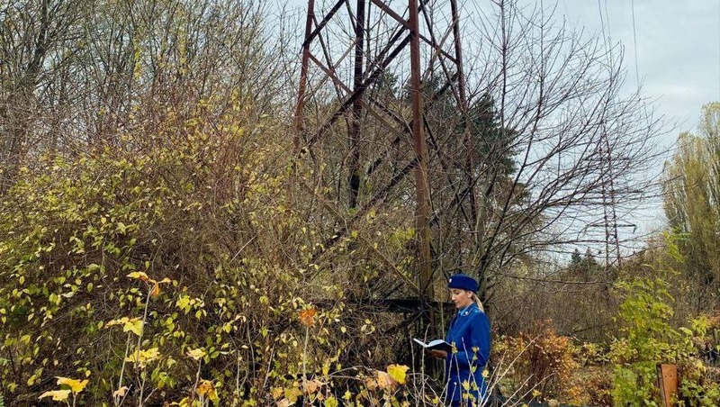 Линии электропередач на Ставрополье оборудуют птицезащитными устройствами