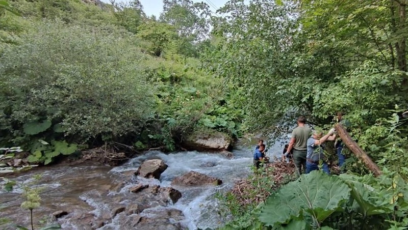 Русло реки в Кисловодске очистят в рамках акции «Вода России»
