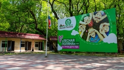 В ставропольском лагере «Лесная поляна» обновят освещение в 2026 году