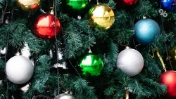 С 22 декабря в Ставрополе начнут бесплатно вручать новогодние подарки детям