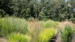 В лесах Ставропольского края ограничили пребывание людей с 21 июля по 10 августа