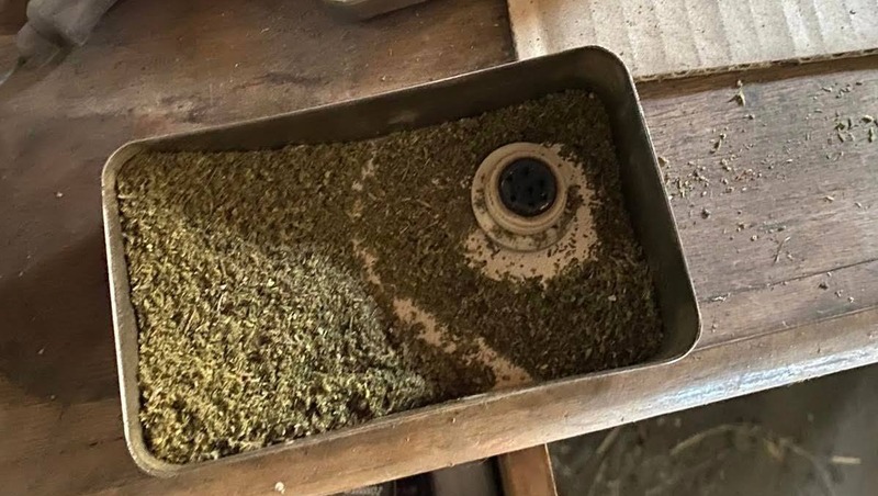 Почти 700 граммов марихуаны и конопли нашли у жителя Изобильненского округа 