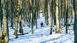 Существенное потепление на Ставрополье придёт в середине февраля — Гидрометцентр