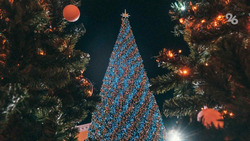 Количество праздничных ёлок для детей на Ставрополье увеличат вдвое 