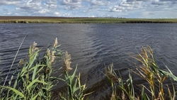 Суд вернул землю с прудом на Ставрополье в федеральную собственность