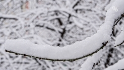 Из-за пурги в Дагестане закрыли участок дороги, ведущий к высокогорным сёлам